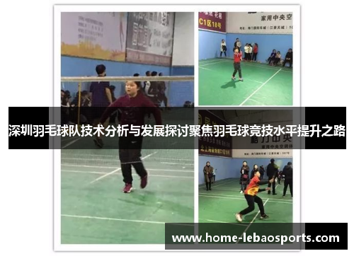 深圳羽毛球队技术分析与发展探讨聚焦羽毛球竞技水平提升之路