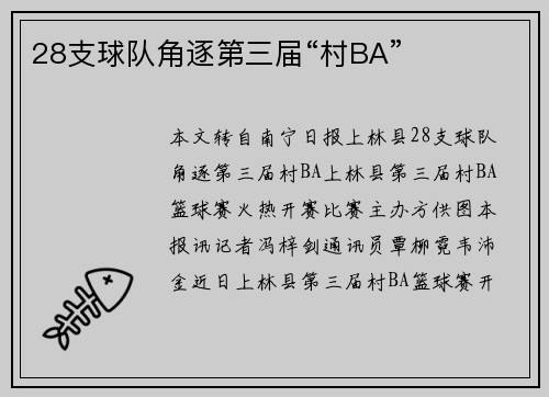 28支球队角逐第三届“村BA”